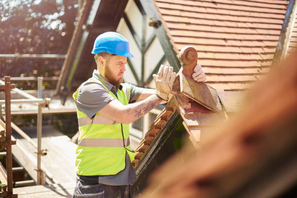 Best Roof Gutter Cleaning  in Carlisle Rockledge, AL